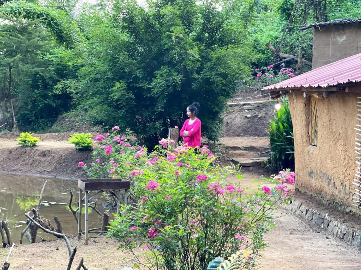 Eco Lodge Meemure & Adventure Park Mimure Exterior foto