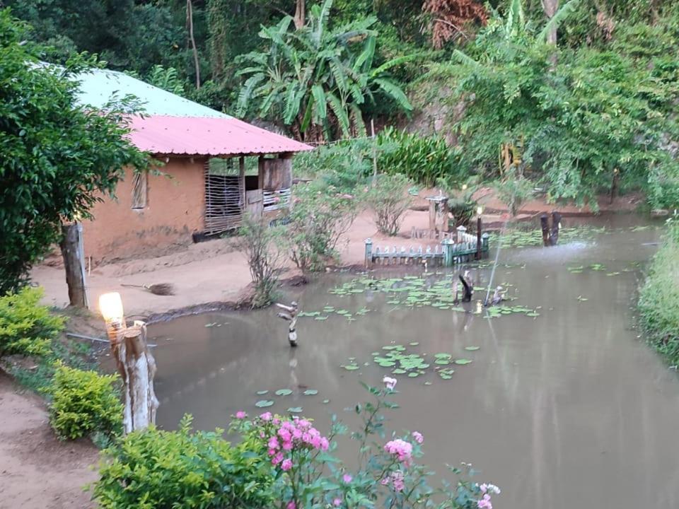 Eco Lodge Meemure & Adventure Park Mimure Exterior foto